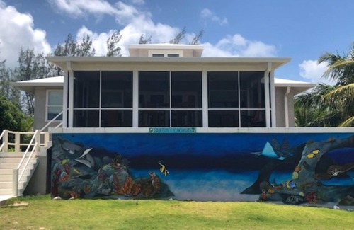 Rainbow Bay House | Cotton & Coconuts by Eleuthera Vacation Rentals