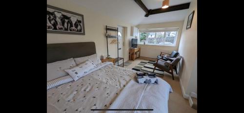 Great Longstone House | Counting Sheep