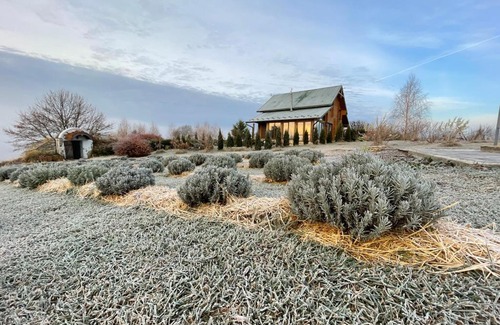 Khmelnytskyi Oblast House | Country house Domik v derevne