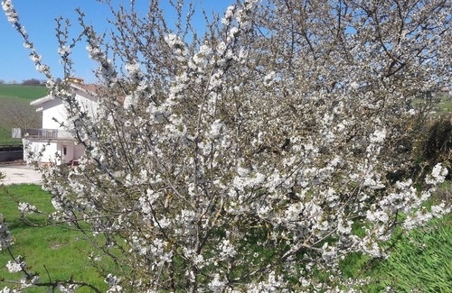 Pignola House | Country house in the heart of Basilicata