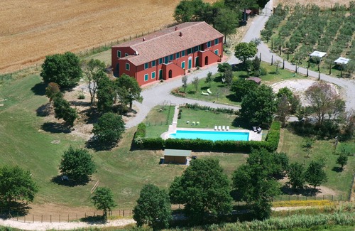 Fauglia House | County Hause - Sunflowers