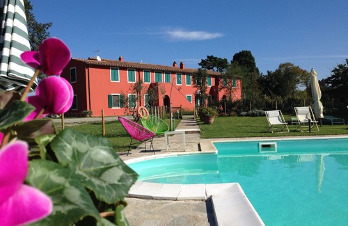 Fauglia House | County Hause - Sunflowers