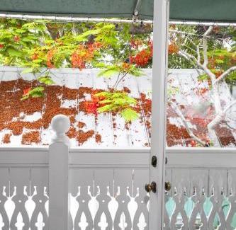 Key West Historic District House | Courtney's Place Historic Cottages & Inns