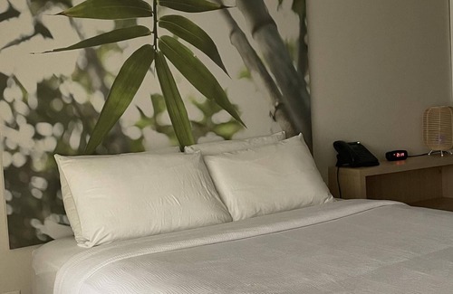 Kissimmee Hotel | Courtyard Room King Bed