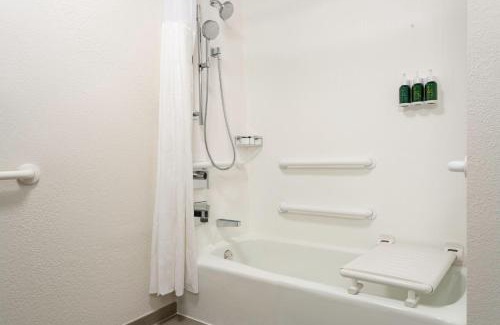 Clearwater Hotel | Courtyard St. Petersburg Clearwater