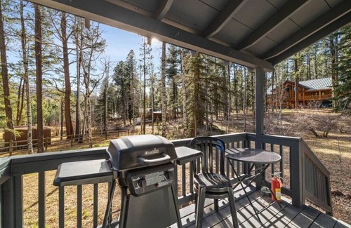 Greer Cabin | Cowgirl Cabin (Aspen 3)