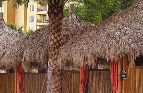 Florida Central Atlantic Coast Apartment | Cozy 1-bedroom apartment with fitness room, WiFi in fantastic Lake Buena Vista