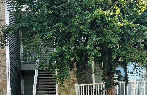 Aurora Apartment | Cozy 1-bedroom with AC and WiFi in charming Aurora