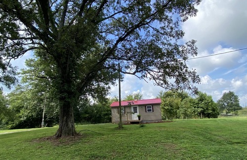 Sulphur Well Cottage | Cozy 12x24’ big charm small house on 350 acre grain beef farm near Mammoth Cave!