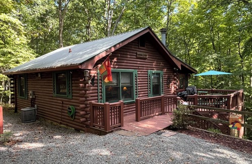 Blue Ridge Cabin | Cozy 2-bedroom, one bath cabin in amazing Blue Ridge mountains.with Wi Ac