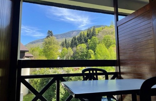 Brides-les-Bains Apartment | Cozy 2-Star Studio with Balcony, Parking & WiFi in Brides-les-Bains