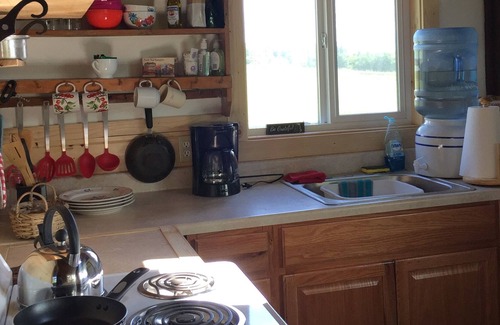 Kachemak Cabin | Cozy 4 person Cabin on historic Seaside Farm Songbird Sanctuary