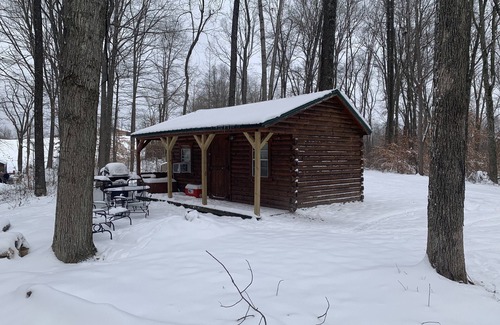 McArthur Cabin | Cozy Amish Log Cabin, Near Caves, Grill, Fire Pit, DirecTV, High-Speed WiFi!