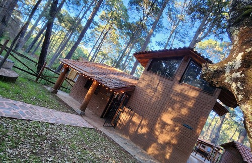 Bouvet Island Cabin | Cozy and quiet place to spend your vacations and holidays, in the forest. Magico