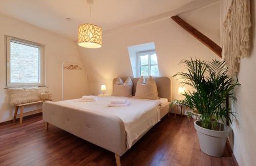 Traben-Trarbach House | Cozy apartment near Mosel - top location - mountain view