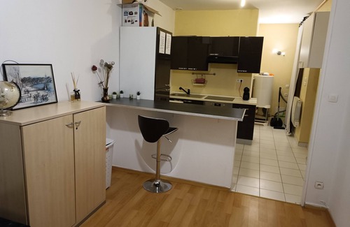 Part Dieu - Bir Hakeim Apartment | Cozy apartment near train station part Dieu!