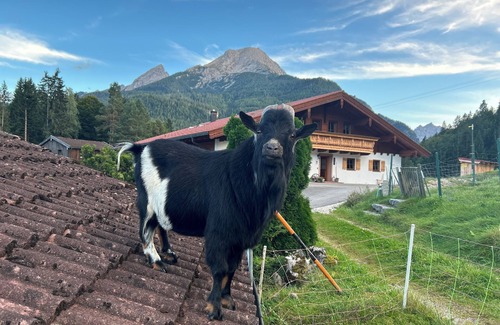 Ramsau bei Berchtesgaden Apartment | Cozy chalet vacation apartment Jägerstube 50m2 in a quiet location for 2 people
