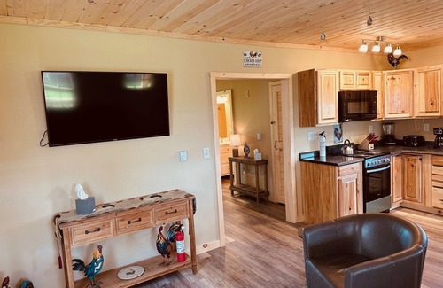Benezette Cabin | Cozy Cabin Boarding Winslow Hill Elk Viewing Area!