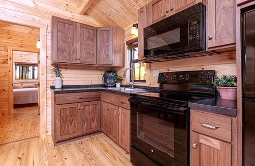 Hector Cabin | Cozy Cabin on Seneca Wine Trail Vineyard View 5