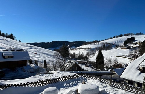 Todtnauberg Apartment | Cozy Condo, Ski in and Out