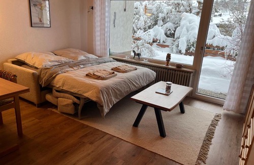 Todtnauberg Apartment | Cozy Condo, Ski in and Out