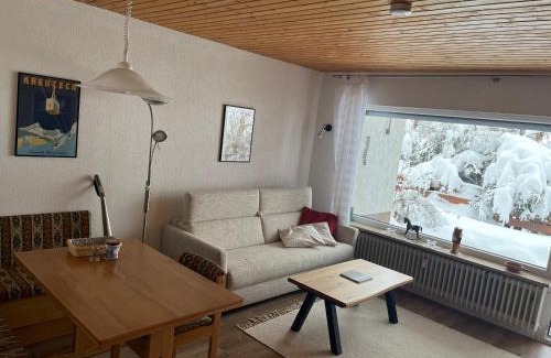 Todtnauberg Apartment | Cozy Condo, Ski in and Out
