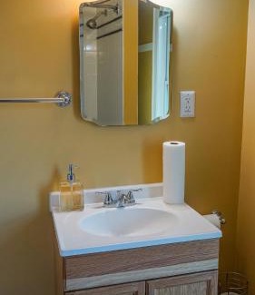 Waukegan Apartment | Cozy Corner, stylish 1bed near Navy Base!
