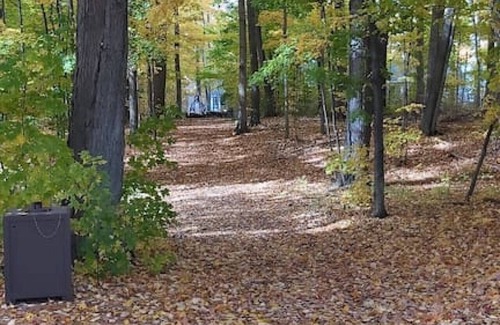 Cherry Valley Cottage | Cozy Cottage in the Woods, Quiet, and Secluded