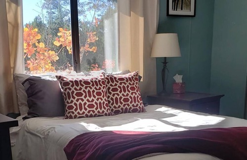 Payson Cottage | Cozy cottage in the pines, quiet and close to town.