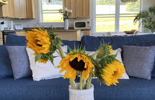 Found Mills Cottage | Cozy Cottage With Water View, Kayaks & Hot Tub On The Stanley River