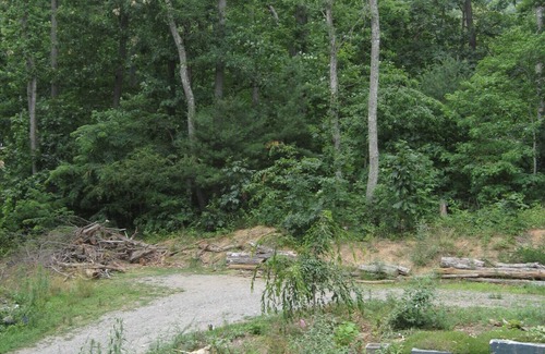 Asheville Apartment | Cozy country studio apt 5 mins to downtown Asheville.