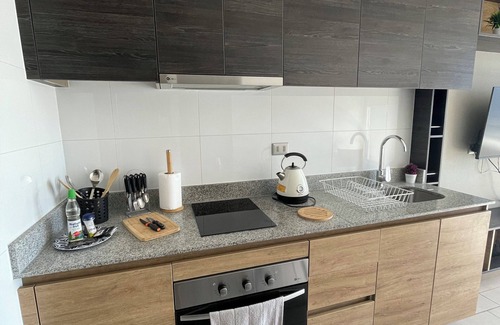 Concepcion Apartment | Cozy fully equipped apartment in the center of Concepción.