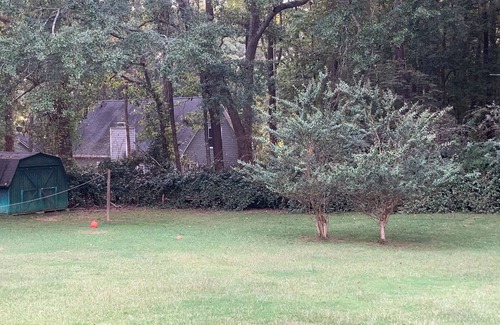 Athens House | Cozy home in Athens, GA