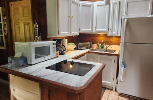 Regional District of Nanaimo Cottage | Cozy Island Cottage: BBQ, Outdoor Patio, WiFi