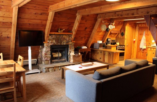 Island Park Cabin | Cozy Island Park Cabin- Patio, Firepit & Scenic Wildlife