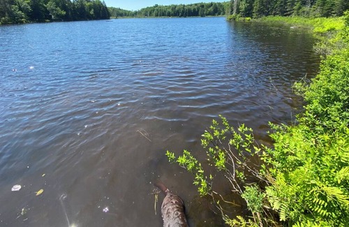 Morin Heights Cabin | Cozy log home on peaceful Lac Belanger, 10 minutes from ski hills