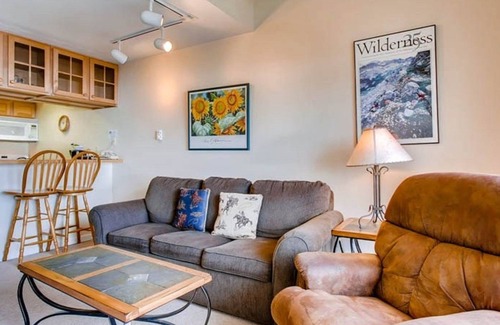 Crested Butte Condo | Cozy + Luxe Ski-in/Ski-out Retreat | Crested Butte