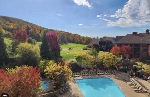Vernon Hotel | Cozy Mountain View Condo