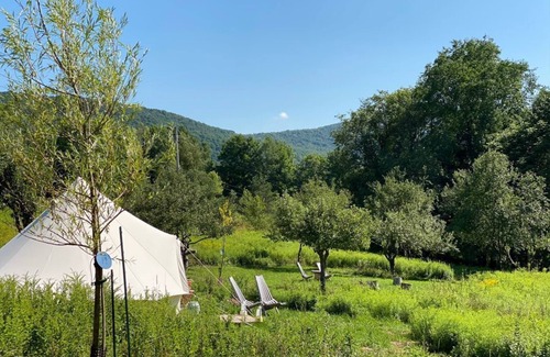 Denver Cabin | Cozy Off-grid Cabins in beautiful Denver, NY, Catskills with WiFi - Sleeps 4