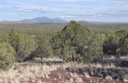 Ash Fork Apartment | Cozy Off Grid Home In Williams AZ (Gateway to the Grand Canyon)