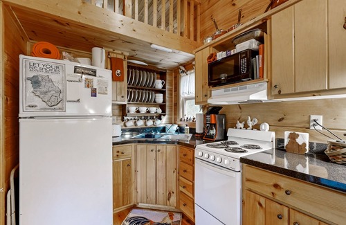 Canton Cabin | Cozy retreat nestled in the mountains near Blue Ridge Parkway