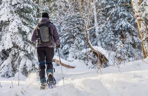 Lanesborough Apartment | Cozy Rustic Apt in 18th c Berkshire Farmhouse