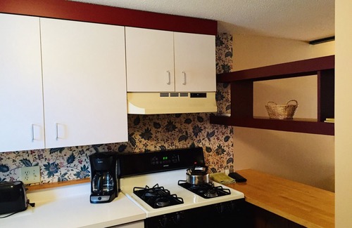 Stowe Area Condo | Cozy, Rustic Ski Condo at Stowe Village Green, 2BR 2BA, Sleeps 6