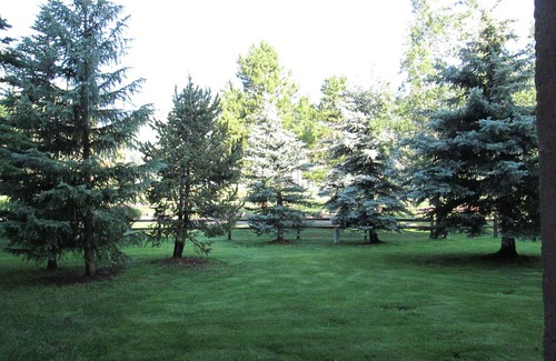Frisco Condo | Cozy studio on Copper Moutain only 100 yards to the Super Bee. Pet Friendly!