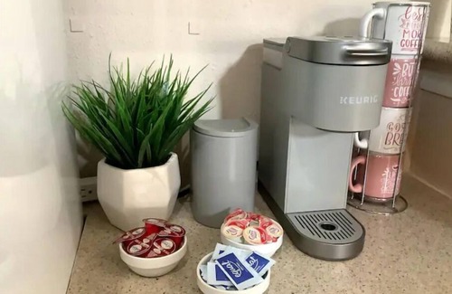 Northside House | Cozy Studio on Large Lot, Near Downtown and IAH!
