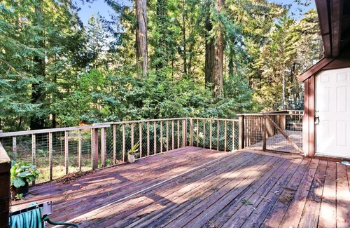 Gualala House | Cozy Treehouse