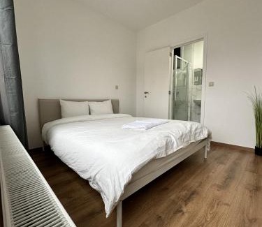 Brussels House | CozyRoom 5 Min from Gare du Midi