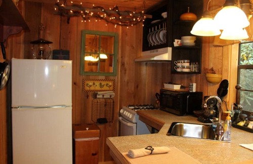 Fancy Gap Cabin | Creekside at Do Drop Inn Cabin Rentals