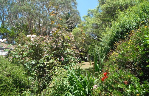 Katoomba Cottage | Crimson Villa