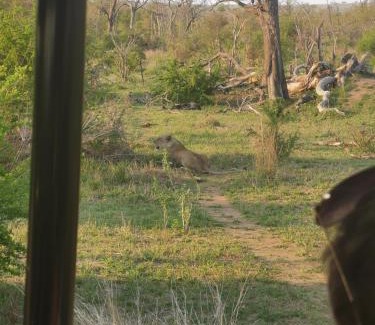 Buffelspruit Villa | Crocodile Bend